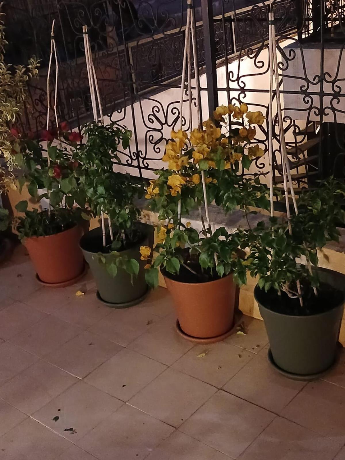 Riad Dantella Marrakesh Buitenkant foto